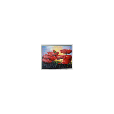 Harga yang bagus 5.7 inci 320*240 EW50352BCW LCD Panel LCD monitor on line