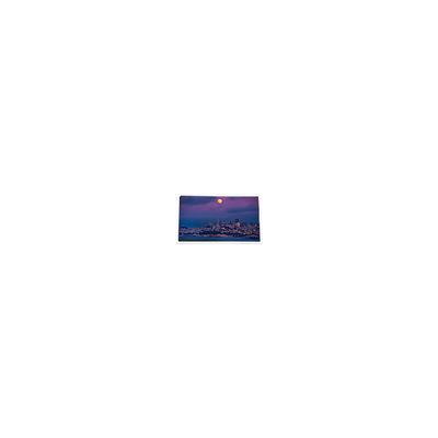 Harga yang bagus jual panas 4,3 inci 480*272 COM43H4N44ULC 45 pin LCD Display on line