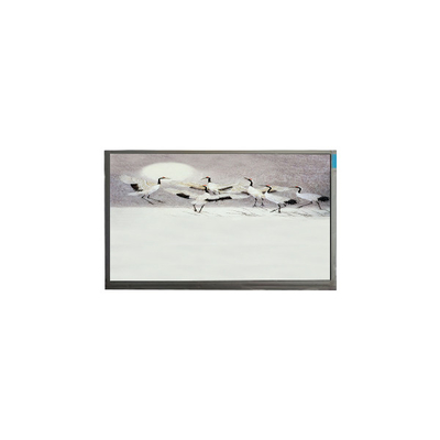 Harga yang bagus P101GWWF R2 10,1 inci 1280*800 LCD Panel Display untuk Pad on line
