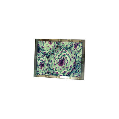 Harga yang bagus 276*128 EL4836HB-ICE 6.3 inci 110 cd/m2 LCD Screen Panel on line