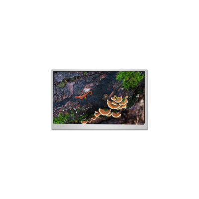 Harga yang bagus dalam stok 23.8 inci PN238CT02-1 60Hz LCD Panel Display on line
