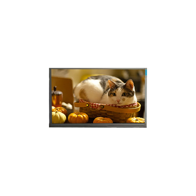 Harga yang bagus N140BGE-P23 14,0 inci 60Hz 262K LCD Panel Display Screen on line