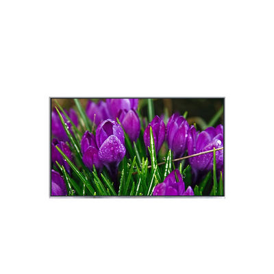 Harga yang bagus B116HAT01.0 11.6 inci asli LCD Laptop panel on line