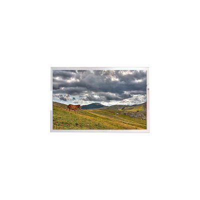 Harga yang bagus LW270AHQ-ESG3 27.0 inci 2560*1440 OLED Screen Display untuk Gaming on line