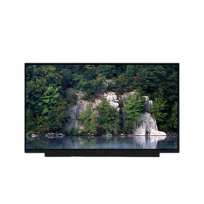 Harga yang bagus PV173FHM-N80 17,3 inci 1080p LCD Panel Display on line