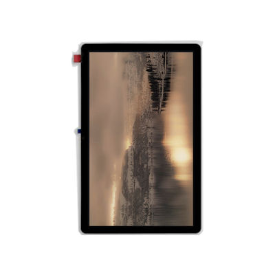 Harga yang bagus TV106C9M-LL0 10,6 inci baru Modul LCD on line