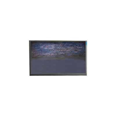 Harga yang bagus U055SWRA-1 5,5 inci panel layar LCD 720*1440 modul tampilan LCD on line