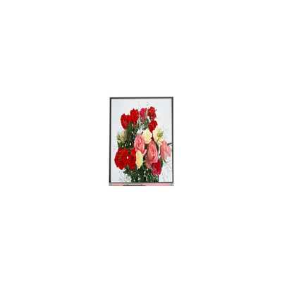 Harga yang bagus C065SWR4-0 Asli dalam stok 6,5 inci 540*1200 LCD Display Screen on line