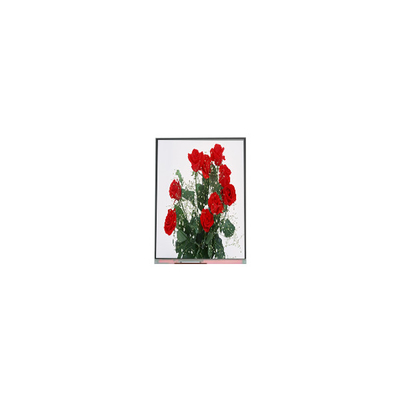 Harga yang bagus C065SWR1-0 6,5 inci layar LCD panel 720 * 1560 layar LCD on line