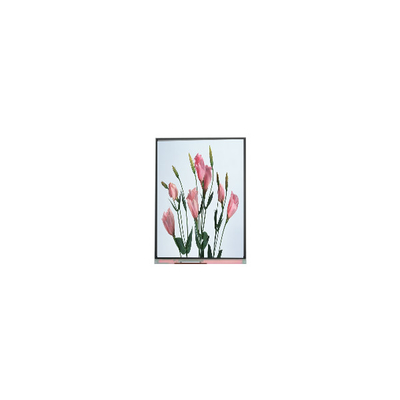 Harga yang bagus 5.7 inci 720*1520 C057SWR2-0 Lcd Screen untuk Ponsel on line