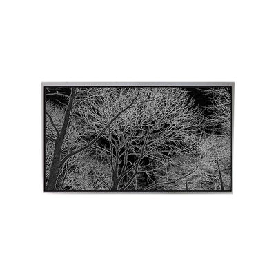 Harga yang bagus 6.2 inci TA062VGHX01 LCD Display Monitor untuk Ponsel Dengan Layar Sentuh on line