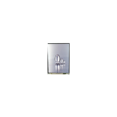 Harga yang bagus LS038Y7DX01 3,8 inci 480*800 LCD Screen Display on line