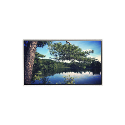 Harga yang bagus 21.5 inci Original HM215WU3-501 TFT LCD Display Panel on line