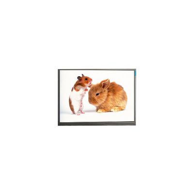 Harga yang bagus PJ061IC-01A 6,1 inci LCD Display 720*1280 Layar LCD on line