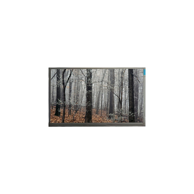 Harga yang bagus MT200LW01 V.0 20,0 inci 30 Pin LCD Panel Display on line