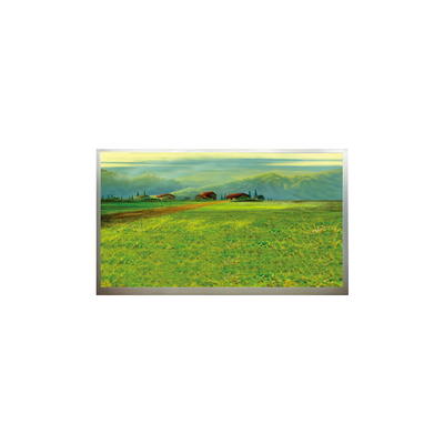 Harga yang bagus N173H6-L04 1920*1080 Panel layar LCD 17,3 inci on line