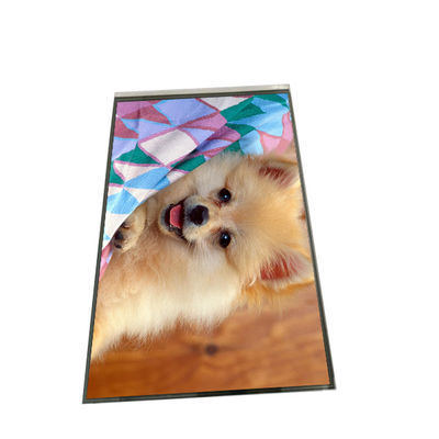 Harga yang bagus AUO 8.0 inci LCD 800x1280 TFT LCD display B080EAK02.2 on line