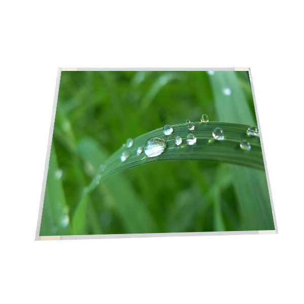 AUO 19&quot; M190EG02 V4(B) 1280*1024 a-Si TFT-LCD, Panel Layar LCM