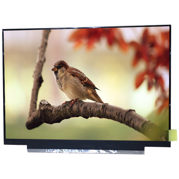Asli Kelas 11,6 inci G116HAN01.0 FHD 1920 (RGB) × 1080 IPS panel layar tft lcd