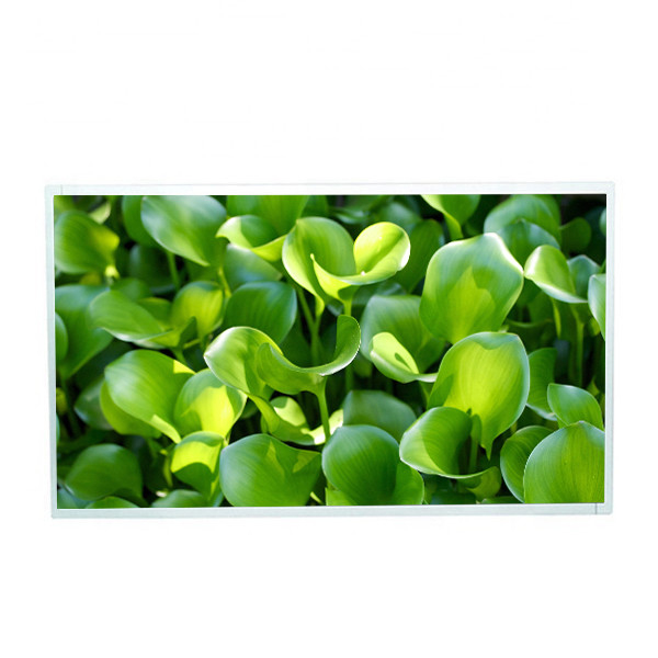 M215HJJ-L30 Rev.C5 1920*1080 Resolusi layar ips 21.5 inch TFT LCD lcd display untuk layar sentuh tampilan kios