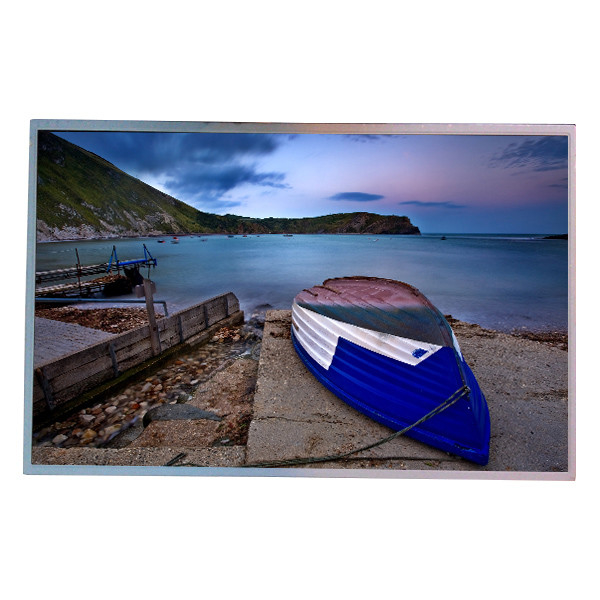 22.0 inci 1680*1050 66 Pin M220Z1-L09 LCD Screen Display Panel TFT-LCD