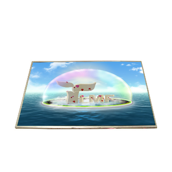Ukuran 15,4 inci 60Hz 262K a-Si TFT-LCD B154EW02 V6 LCD Panel