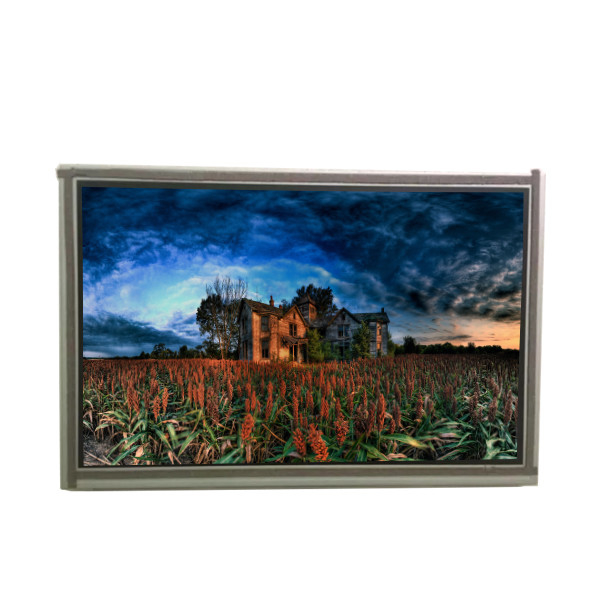 TCG101WXLPAANN-AN21 10,1 inci 800: 1 (Typ.) (TM) Layar LCD Untuk Kyocera