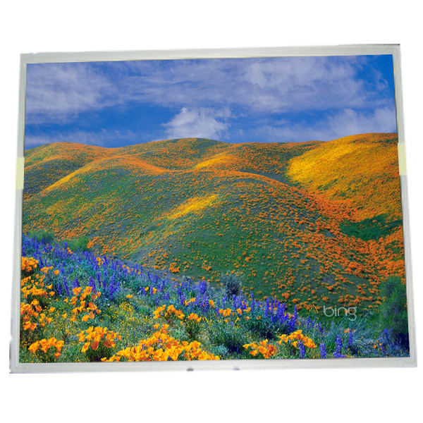 LM170E03-TLH4 17,0 inci 1280*1024 untuk Desktop Monitor LCD Screen Module
