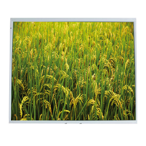 LM181E06-C4 18.1 inci 1280*1024 LCD Panel Modul untuk Desktop Monitor