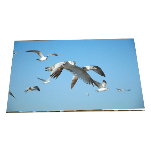 LM240WU2-SLA1 24,0 inci 1920*1200 LCD Display Module untuk Desktop Monitor