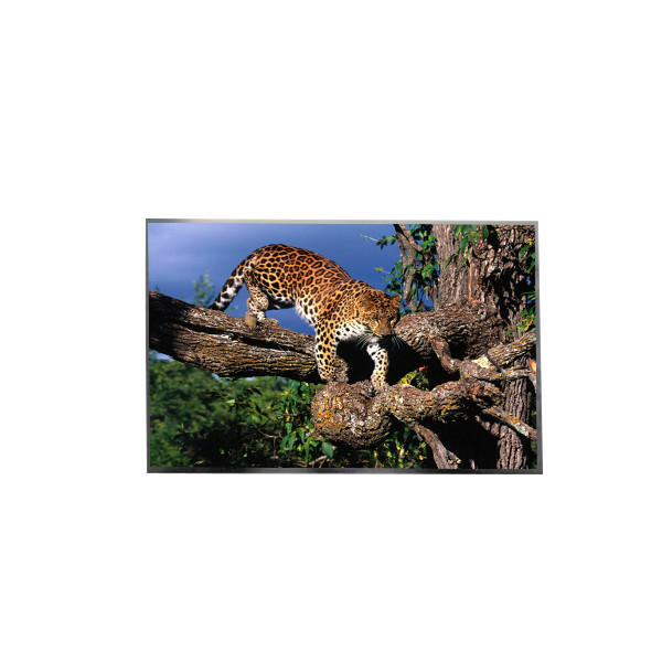LP156WFC-SPD8 15,6 inci FHD IPS TFT LCD Screen untuk Laptop