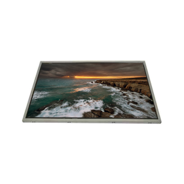 1536*2048 21,3 inci EV213QXM-N10-3DK0 900 cd/m2 Panel layar LCD