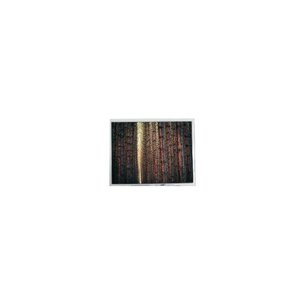 Layar LCD asli 5,7 inci 640*480 AM-640480G2TNQW-W0H 500 cd/m2