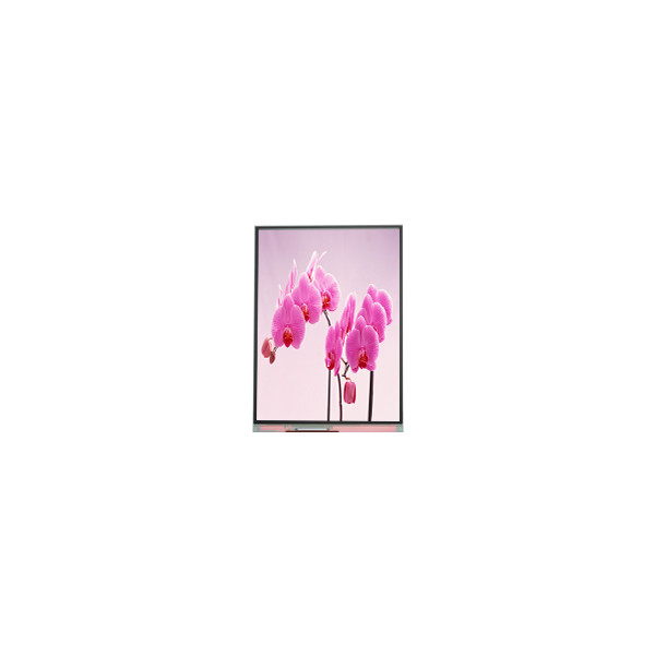 C060SWR5-1 6.0 inci 720*1440 LCD Screen Display Panel Untuk Ponsel
