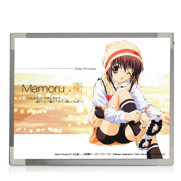 M170EP01 V0 1028*1024 TN, Biasanya Putih, Transmissive 69 pin Konektor Layar Laptop LCD