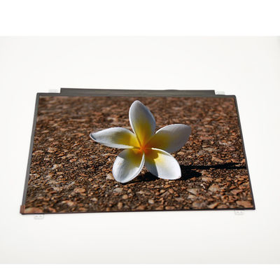 Harga yang bagus BOE Vertical Stripe 15.6 panel lcd NV156FHM-N31 1920*1080 Layar Laptop LCD on line