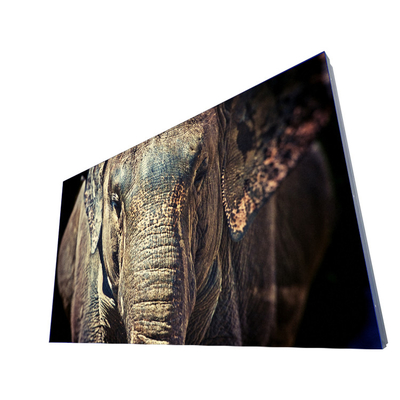 Harga yang bagus LD550DUN-THB6 Planar Lcd Panel Wall Mount Untuk Dinding Video on line