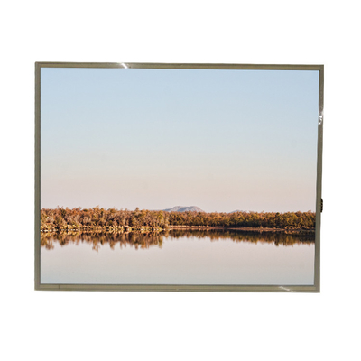 Harga yang bagus HSD190ME13-A17 19 Inch LCD Panel 1024*768 LCD Display Screen on line