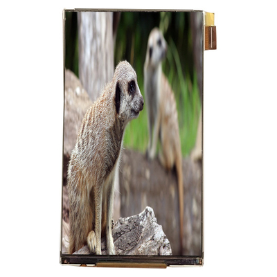 Harga yang bagus LQ055K3SX02 5,5 inci LCD Module Interface 720*1280 LCD Screen Untuk Tampilan Mobil on line