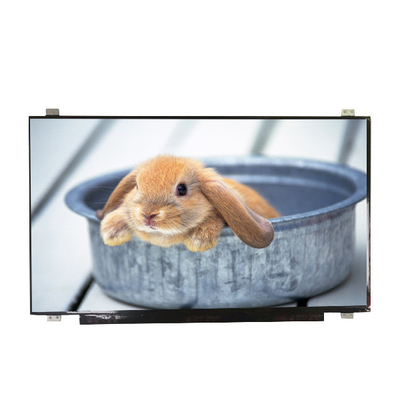 Harga yang bagus Pasokan B173HAN01.4 ukuran 17,3 inci Mat Hard coating LCD Screen on line