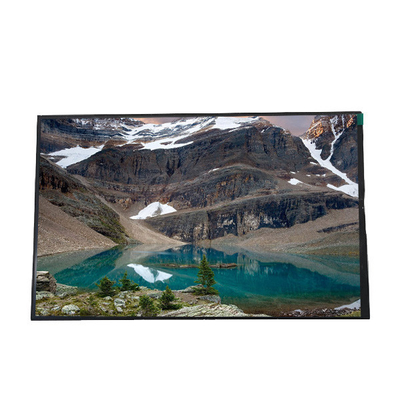 Harga yang bagus B101UAN07.0 10,1 inci 1000:1 1200*19202 Layar LCD on line
