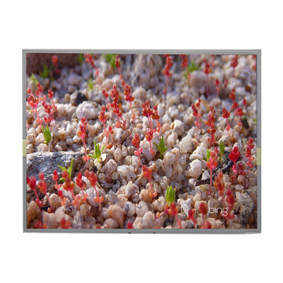 Harga yang bagus LM201W01-A6K2 20,1 inci LCD Panel 1680*1050 LCD Tampilan on line