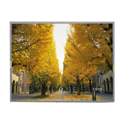 Harga yang bagus LM2013-WETLB1 20,1 inci Lcd Screen 1680*1050 Lcd Display on line