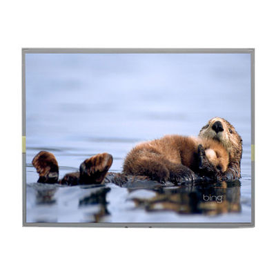 Harga yang bagus LM2013-TLWEJ1 20,1 inci 1680*1050 TFT LCD Panel Display on line