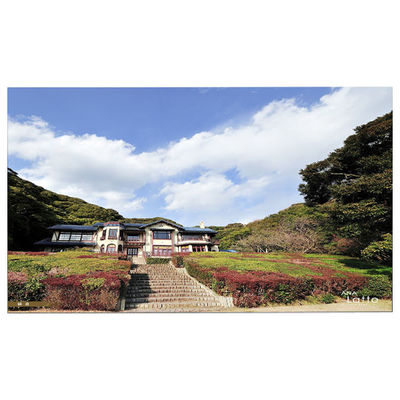 Harga yang bagus LM215WFA-SSE1 Layar LCD Sentuh 1920*1080 FHD Untuk Lenovo 01AG987 on line