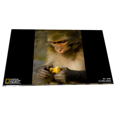 Harga yang bagus LM238WF6-SSA1 1920*1080 23,8 inci TFT LCD display panel modul on line