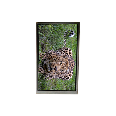 Harga yang bagus BA050WV4-600 5.0 inci 480*800 LCD Screen Untuk Ponsel on line