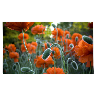 Harga yang bagus LM270WR8-SSC1 27.0 inci LCD Panel 3840*2160 LCD Tampilan on line