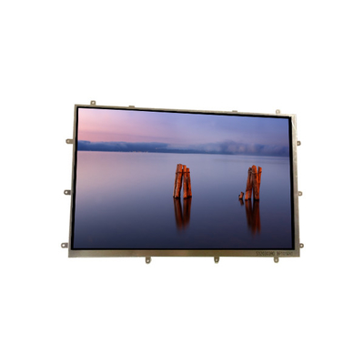 Harga yang bagus BP101WX1-205 10,1 inci layar LCD MODUL LCD PANEL Untuk Tablet on line