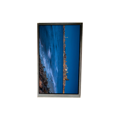 Harga yang bagus BS052FHG-N30-6C00 5,2 inci LCD Tampilan layar LCD PANEL on line